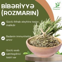 Bibəriyyə- Rozmarin